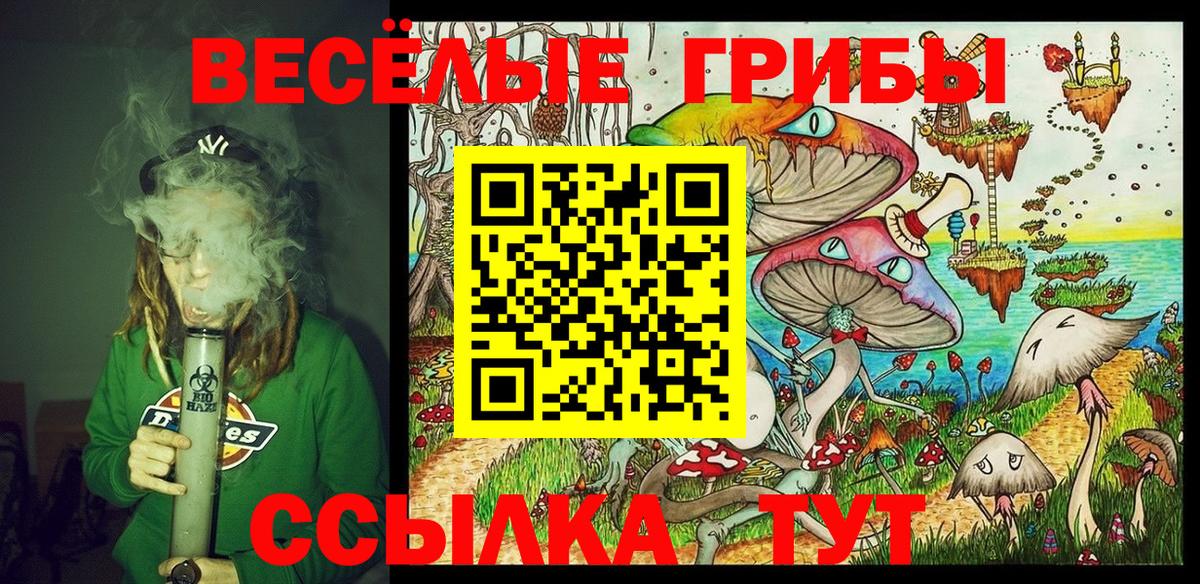 Псилоцибиновые грибы GOLDEN TEACHER  Вход с VPN  Балашиха 